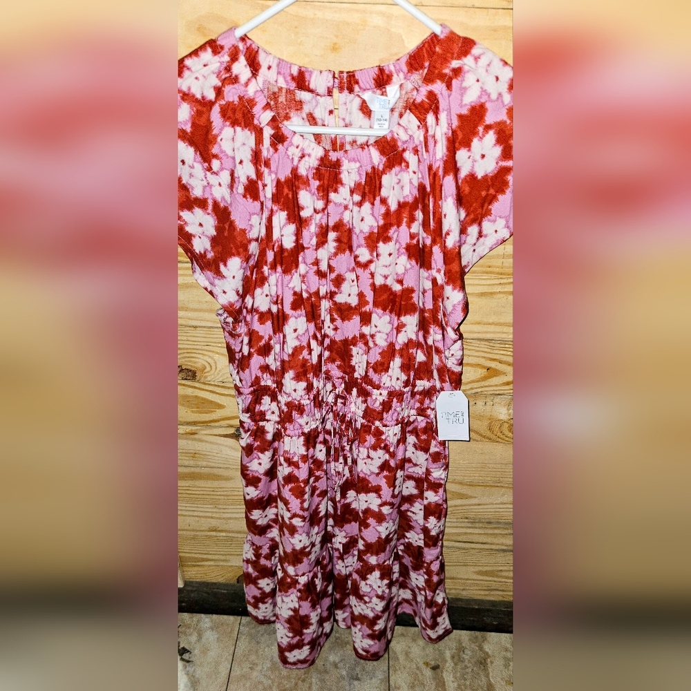 NWT Time and Tru Pink and Red Floral Dress